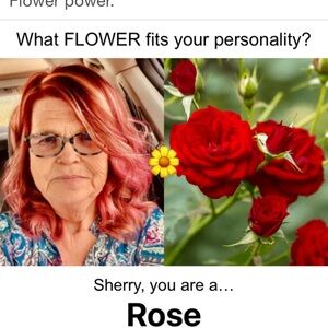 Meet your Posher, Sherry